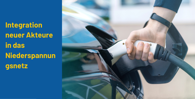 Integration neuer Akteure in das Niederspannungsnetz: dezentrale Erzeugung, Elektrofahrzeuge und Wärmepumpen